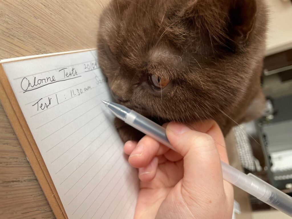 A brown british shorthair cat leans over someone with a pen trying to take notes on a sheet of paper